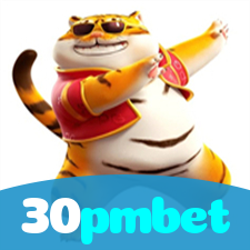 30pmbet visual