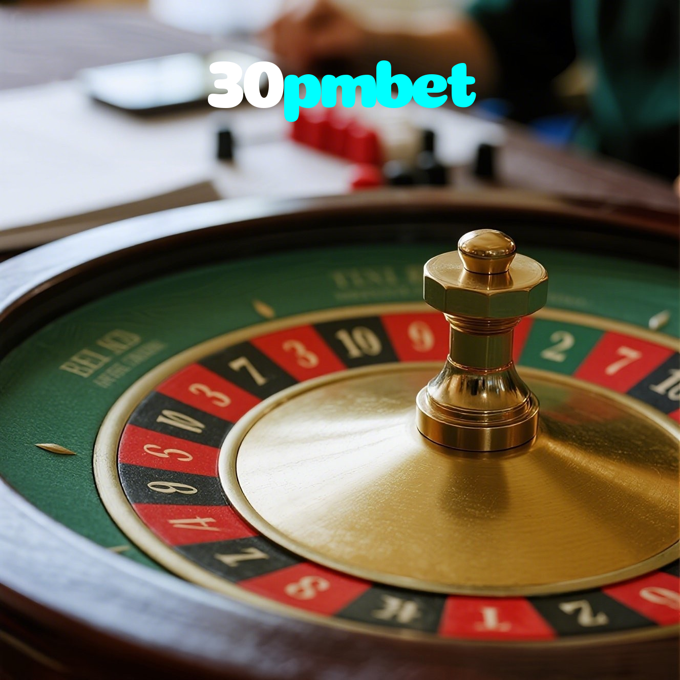30pmbet visual